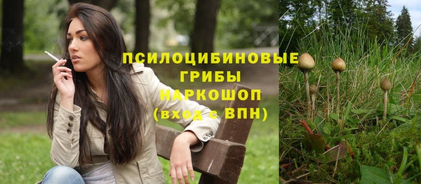 стафф Баксан