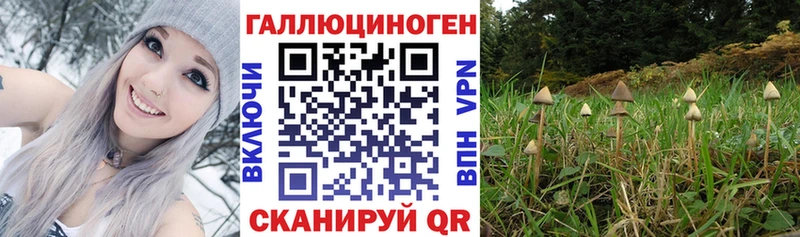 Псилоцибиновые грибы прущие грибы Горбатов